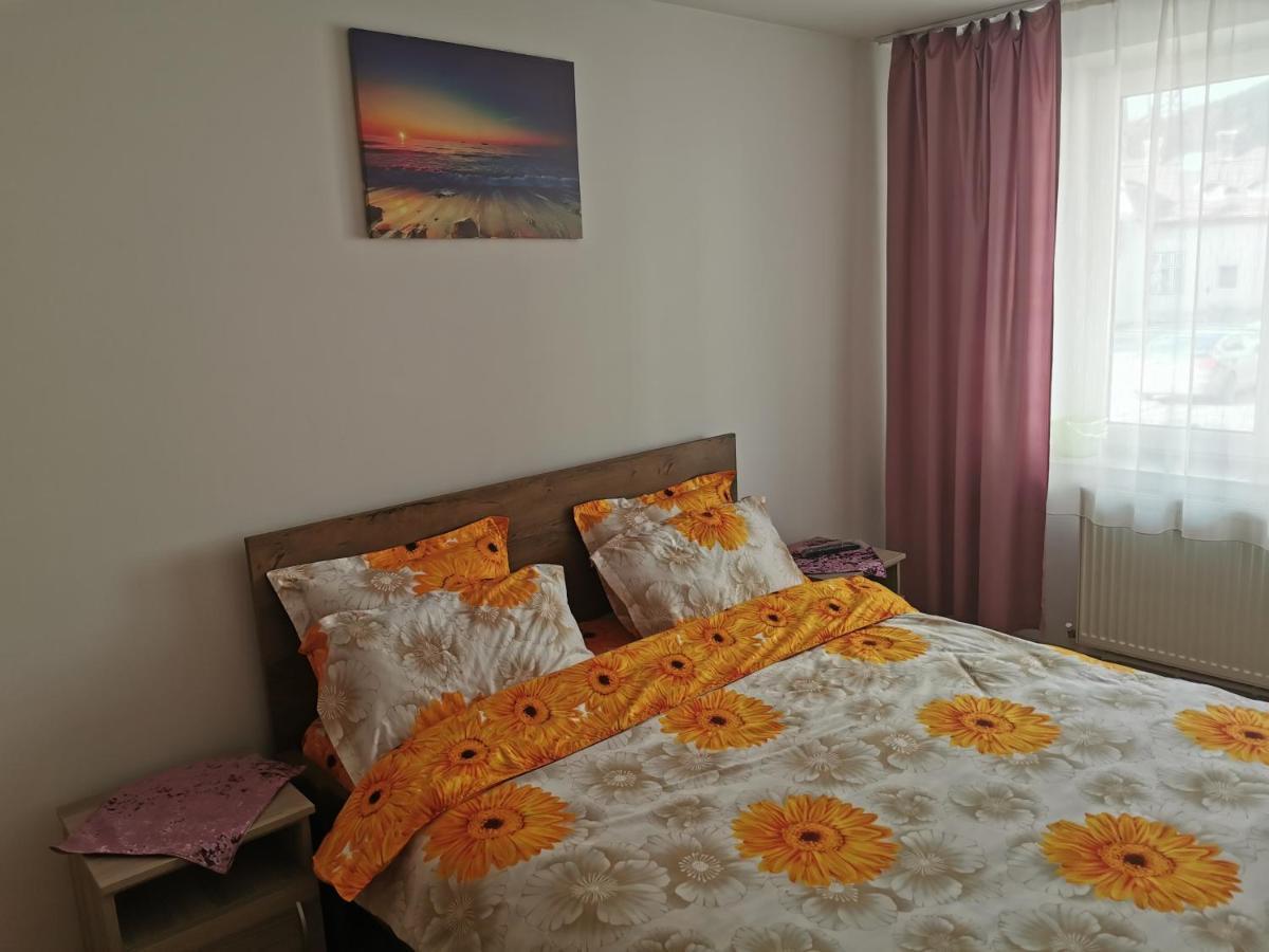Апартаменты Apartament Bucovina Кымпулунг-Молдовенеск Экстерьер фото
